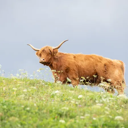 Turizem Na Kmetiji Rdecnik *