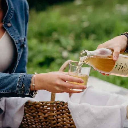 Turizem Na Kmetiji Rdecnik Slovenj Gradec