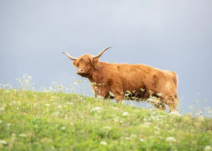 Turizem Na Kmetiji Rdecnik *