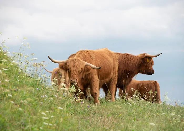 Appartement Turizem Na Kmetiji Rdecnik Slovenj Gradec